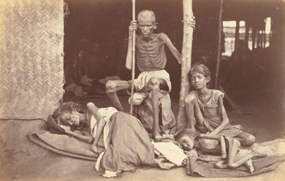 राहत देने वाली वस्तुओं का संरक्षण करना द्वारा Willoughके द्वारा वालेस हूपर